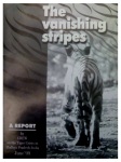 vanishing-stripes-1